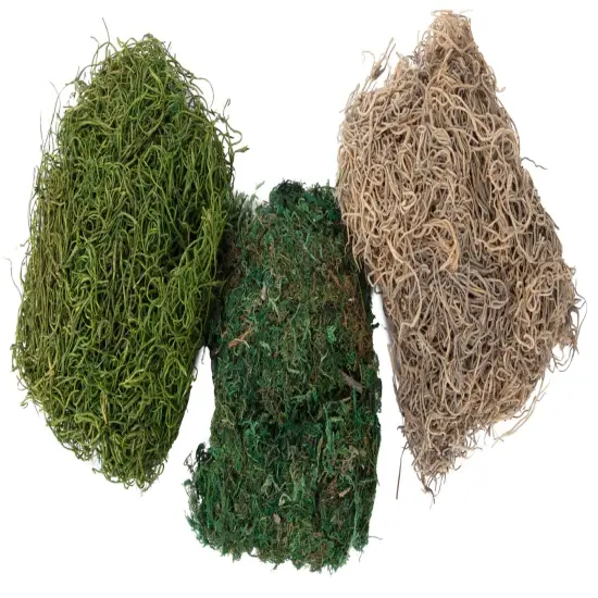 CousinDIY Preserved Moss 1oz-Assorted {4}