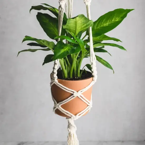 Macrame Cord, White Cotton Rope, 6Mm X 32 Yard Natural White Cotton Macrame Rope, 3 Strand Twisted Cotton String for Wall Hanging, Plant Hangers, Macrame Supplies, DIY Crafts, Knitting {6}