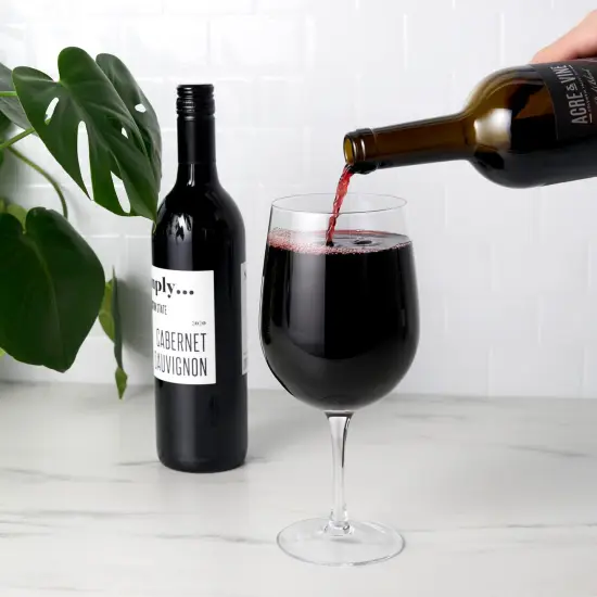 Big Swig: Full Bottle Wine Glass {3}