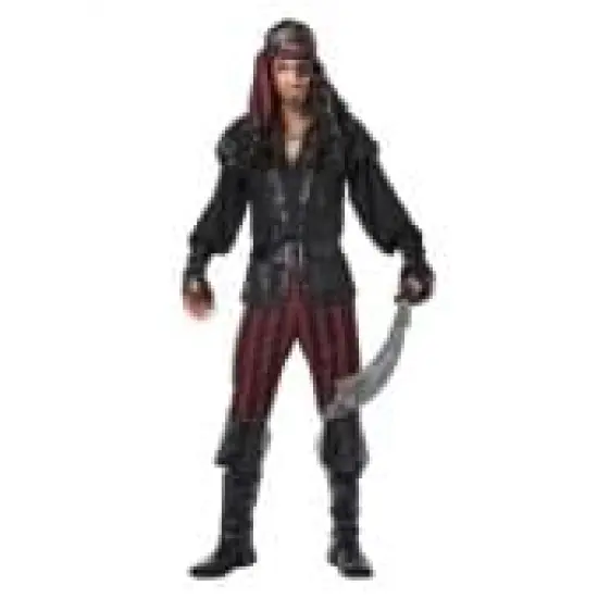 Ruthless Rogue Pirate Adult Costume {2}