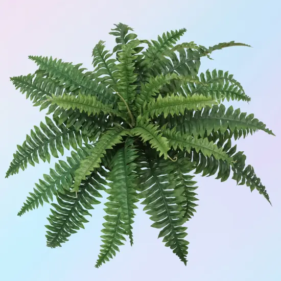 Lifelike Boston Fern Faux Plant - UV-Resistant Silk Greenery for Indoor/Outdoor Decor, Perfect for Living Rooms and Patios &ndash; Floral Home by Artificial Flowers {1}