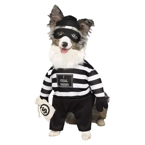Robber Pup Pet Costume {1}