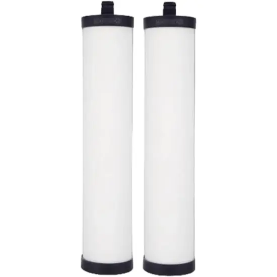 Doulton W9223021 UltraCarb Ceramic Water Filter Candle, White, Pack of 2 {1}