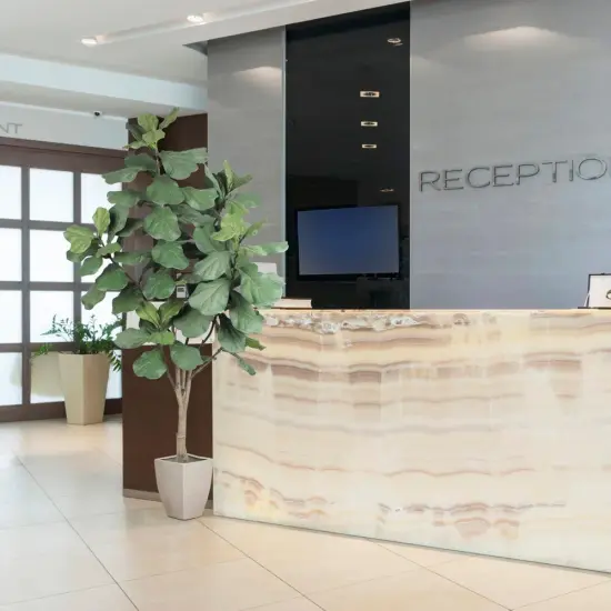 6FT Fiddle Leaf Fig - Elegant Artificial Ficus Plant, Perfect for Modern Home or Office Decor - Lifelike & Evergreen, Floral Home by Artificial Flowers {5}