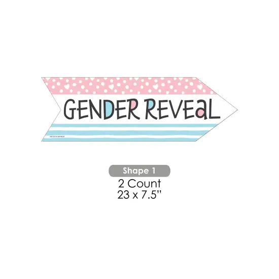 Big Dot of Happiness Baby Gender Reveal - Team Boy or Girl Party Sign Arrow - Double Sided Directional Yard Signs - Set of 2 {7}