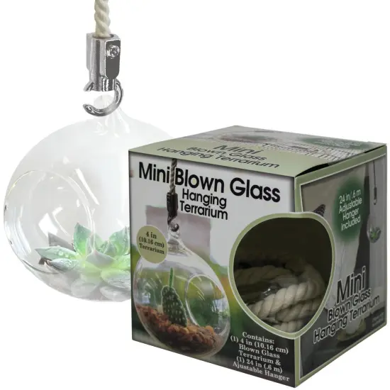 Pepperell Mini Blown Glass Hanging Terrarium {3}