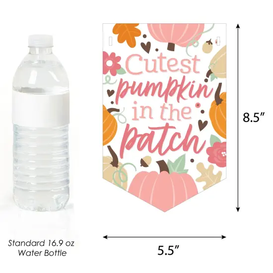 Big Dot of Happiness Girl Little Pumpkin - Fall Birthday Party or Baby Shower Bunting Banner - Party Decorations - Little Pumpkin {3}