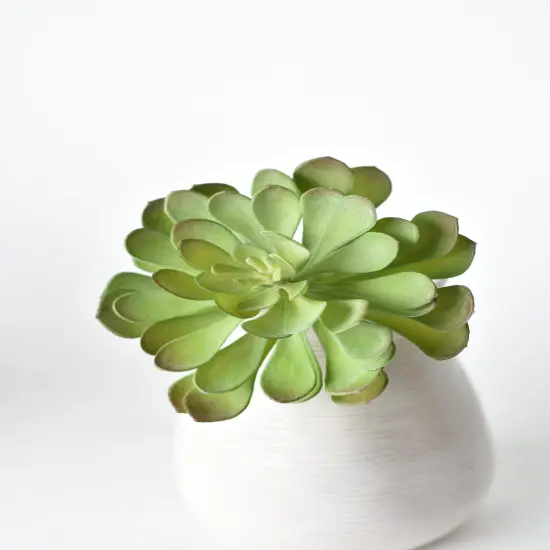 6" Faux Soft Aeonium Succulent Pick {1}