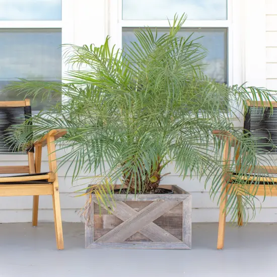 Farmhouse Deluxe 22.5 x 14.5, 30 in. Diameter, Decorative Planter Box Collar White {7}