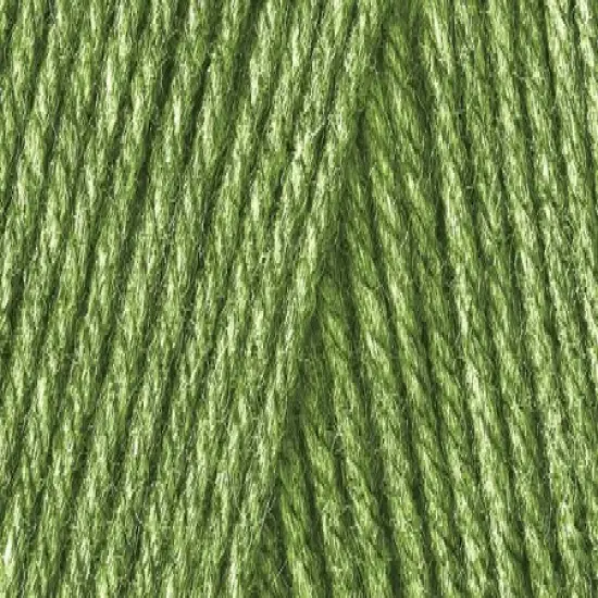 Caron One Pound Grass Green Yarn - 2 Pack of 454g/16oz - Acrylic - 4 Medium (Worsted) - 812 Yards - Knitting/Crochet {3}