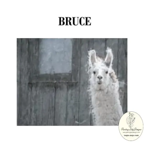 Bruce the Llama Decoupage & Mixed Media Art Paper - Large {1}