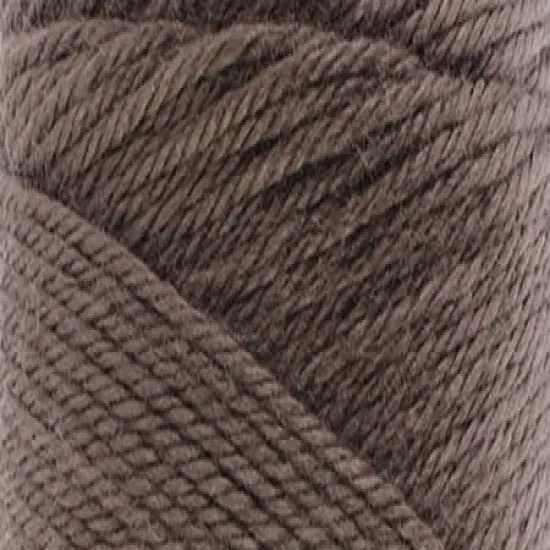 Multipack of 6 - Caron Simply Soft Solids Yarn-Taupe {3}