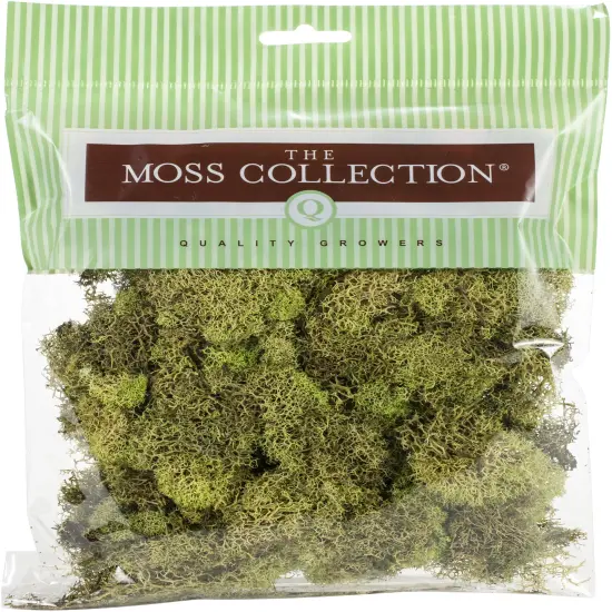 Multipack of 18 - Quality Growers Preserved Reindeer Moss 108.5 Cubic Inches-Spring Green {2}