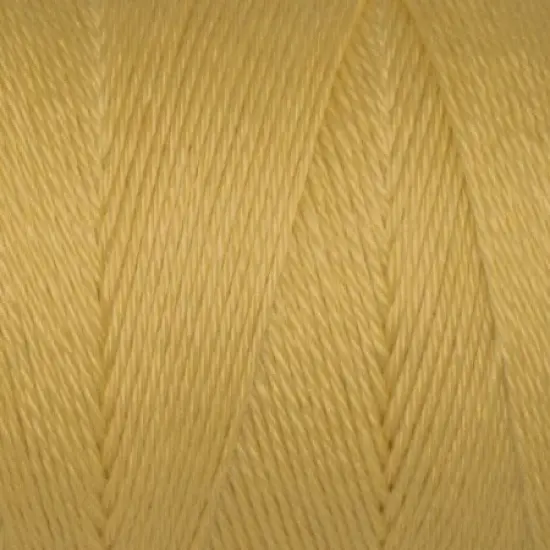 Multipack of 24 - Caron Simply Soft Collection Yarn-Autumn Maize {3}