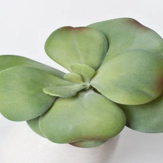6" Faux Green\Gray Kalanchoe Succulent Pick {1}