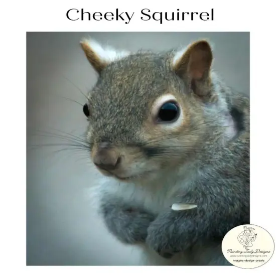 Cheeky Squirrel -Decoupage & Mixed Media Art Paper {1}