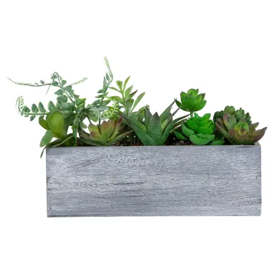 Northlight Artificial Mixed Succulent Plants in a Rectangular Planter - 12" Green {4}