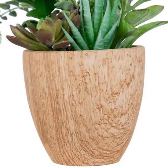 Northlight Potted Artificial Mixed Succulents and Fern Arrangement - 12" Brown {6}