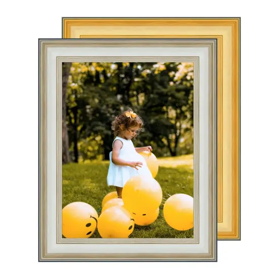 Silver 28x42 Picture Frames Gold 28x42 Frame 28 x 42 Poster Frames 28 x 42 {1}