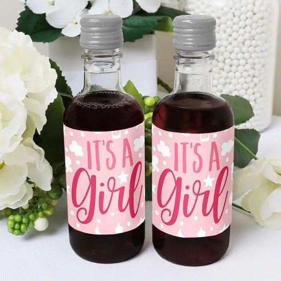 Big Dot of Happiness It's a Girl - Mini Wine and Champagne Bottle Label Stickers - Pink Baby Shower Favor Gift for Women and Men - Set of 16 {6}