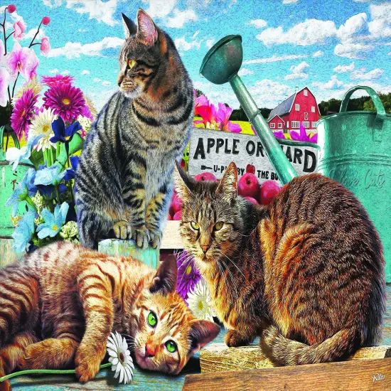 Sunsout Apple Orchard 300 pc Jigsaw Puzzle 42222 {1}