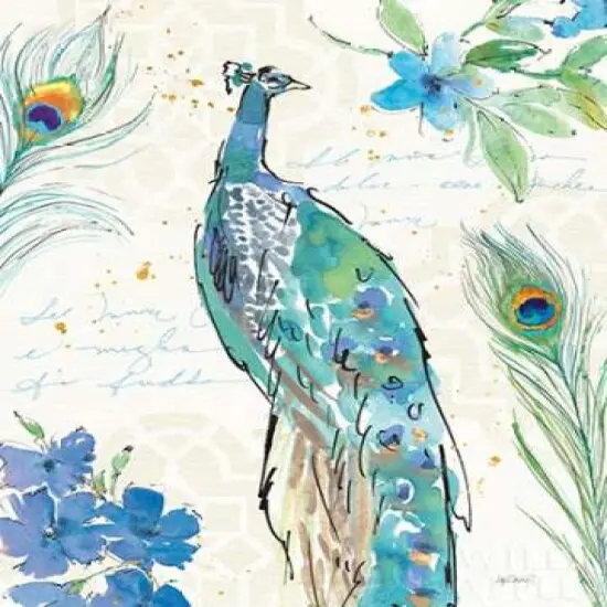 Peacock Garden II Poster Print by Anne Tavoletti - Item # VARPDX30421 {2}