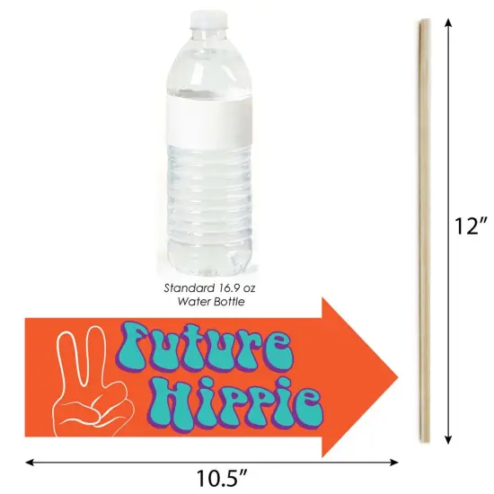 Big Dot of Happiness Funny 60's Hippie - 1960s Groovy Party Photo Booth Props Kit - 10 Piece {4}