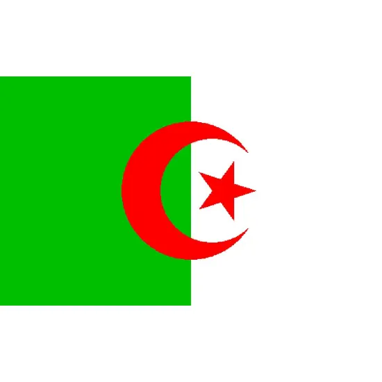 Algeria Flag with Grommets 3ft x 5ft {1}