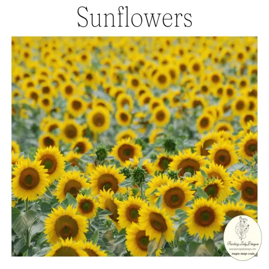 SunflowersArt paper for Decoupage and Mixed Media {1}