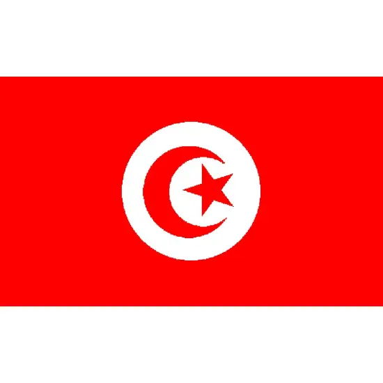 Tunisia Flag with Grommets 3ft x 5ft {1}