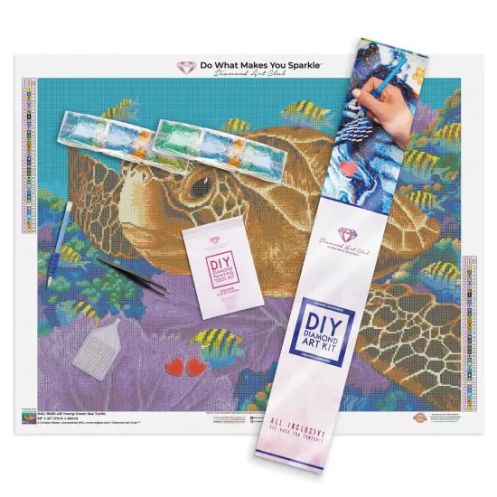 Young Green Sea Turtle {3}