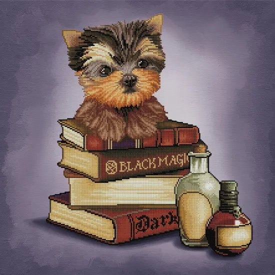 Yorkie & Magic Books {2}