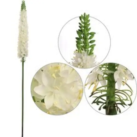 6-Pack: Cream Foxtail Spray with Silk Flowers, Floral Home by Artificial Flowers {2}