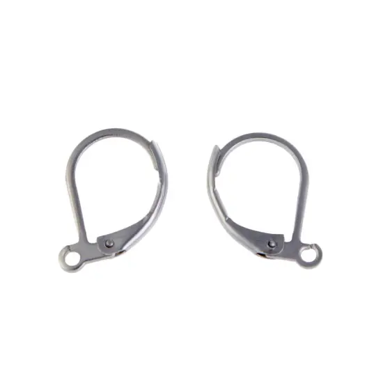 Surgical Stainless Steel Lever Back Earring Finding (Package of 2) {1}
