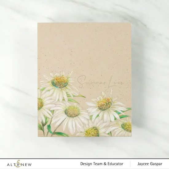 Paint-A-Flower: White Swan Echinacea Outline Stamp Set {3}