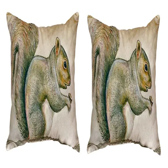 Pair of Betsy Drake Squirrel No Cord Pillows 15 Inch X 22 Inch {1}