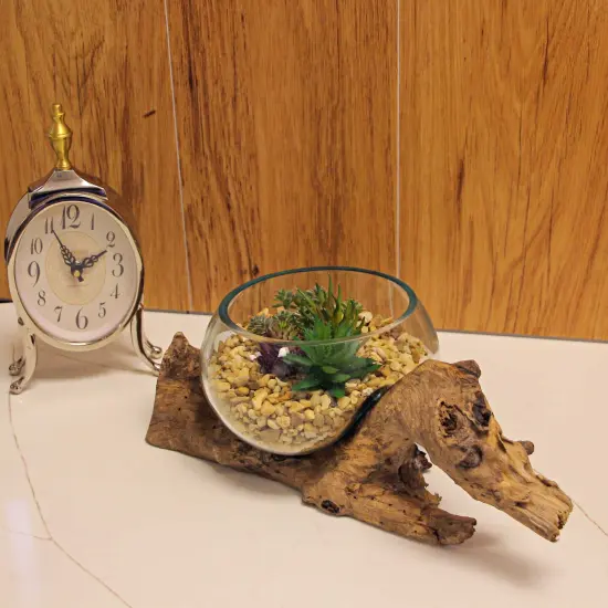 Melted Glass On Teak Driftwood Decorative Bowl/Vase/Terrarium Planter 6 Inch {5}