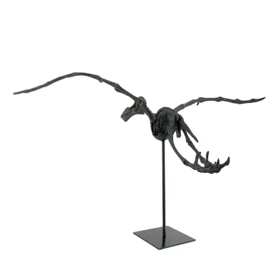 Museum Mounted Pterosaur Flying Dinosaur Fossil Replica Statue {4}