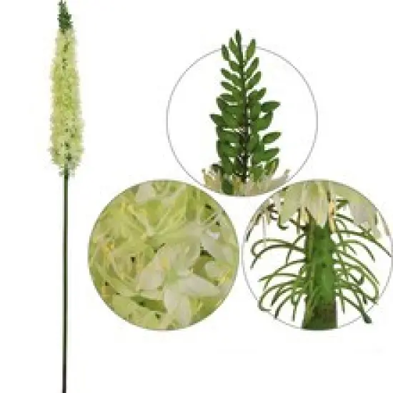 Green Foxtail Spray - 6-Pack, Silk Flowers, Lifelike Greenery, Ideal for Floral Arrangements, Home & Event D&eacute;cor - Perfect for All Seasons, Floral Home by Artificial Flowers {2}