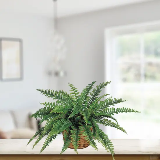 Boston Fern Plant 34" Wide | 42 Lifelike Silk Fronds | Floral Home&reg; {3}