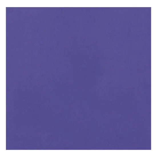 Pacon Posterboard 4-Ply 22"X28" {2}