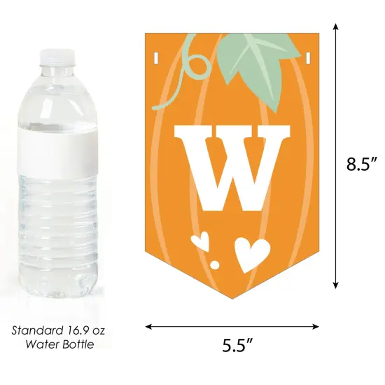 Big Dot of Happiness Little Pumpkin - Fall Baby Shower Bunting Banner - Party Decorations - Welcome Baby {4}