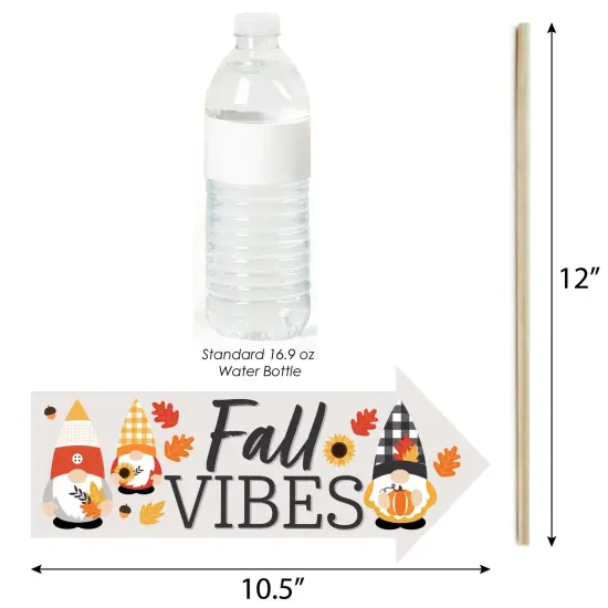 Big Dot of Happiness Funny Fall Gnomes - Autumn Harvest Party Photo Booth Props Kit - 10 Piece {4}
