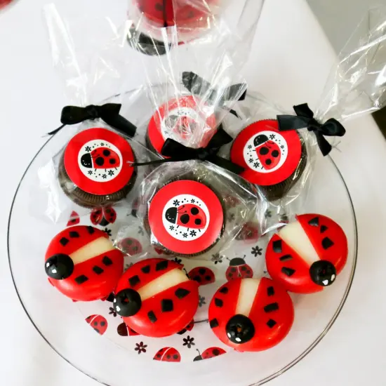 Big Dot of Happiness Happy Little Ladybug - Baby Shower or Birthday Party Circle Sticker Labels - 24 Count {6}