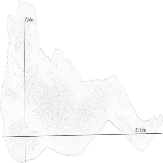 25686 Napping Frog Statue Relax Resting Meditating Zen Garden Buddha Sculpture Yoga Contented Talisman Gift Feng Shui Vastu Figurine {6}