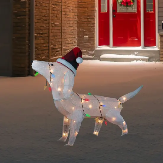 Northlight LED Lighted Dachshund Dog in Santa Hat Outdoor Christmas Decoration - 32" - Multicolor White {3}