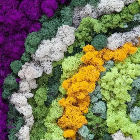 Moss Preserved Lime Green for Fairy Gardens Terrariums, Craft, DIY, Floral, 500g {5}