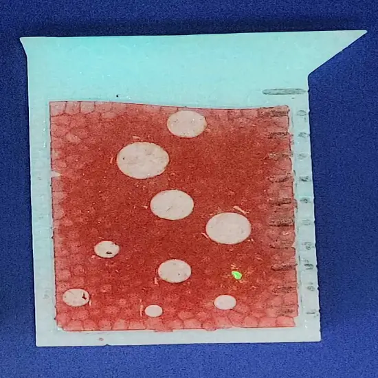 Beaker Silicone Freshie Mold {2}