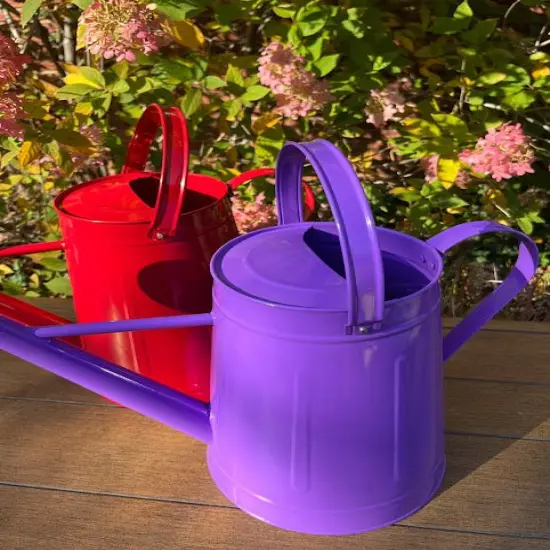 Large Watering Can - FUN COLORS Lilac {6}