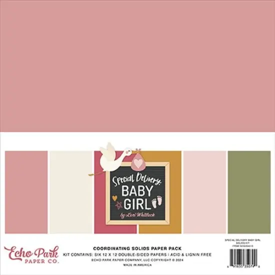 Echo Park Special Delivery Baby Girl Solids Kit {1}